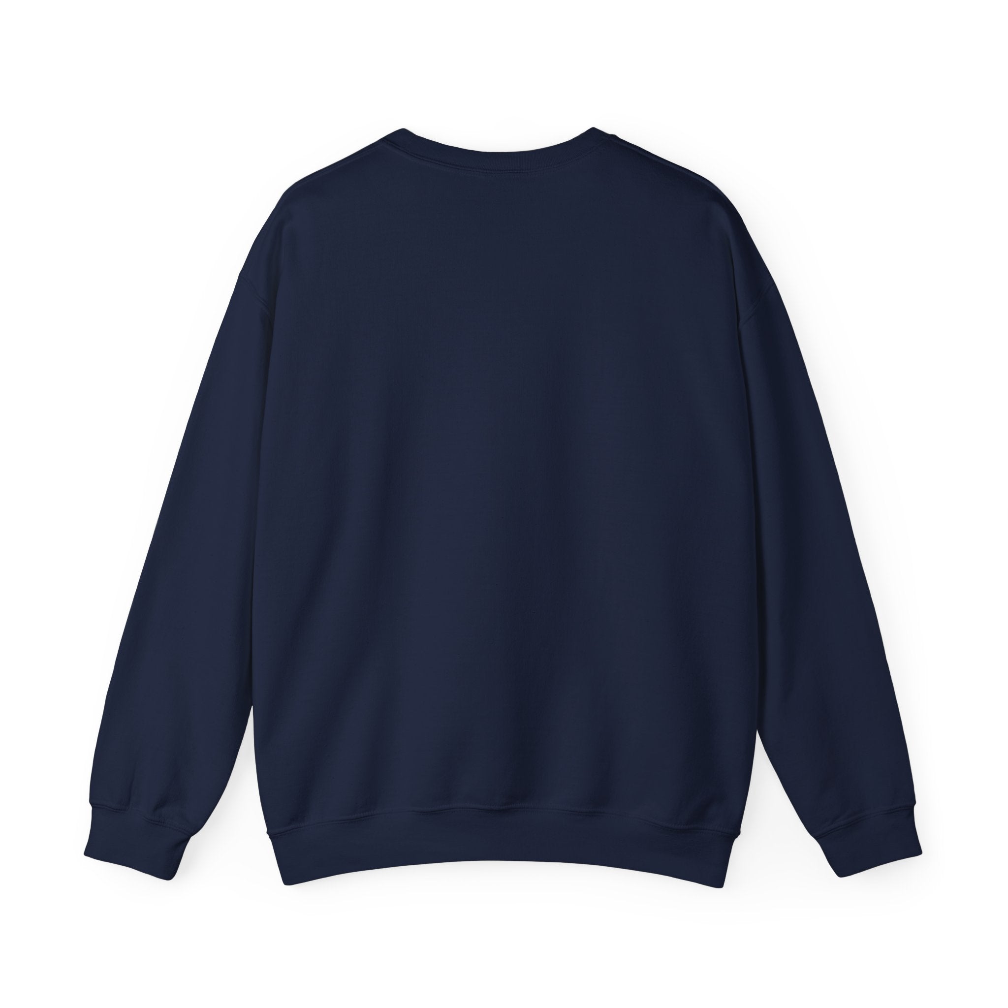 Gym Star Crewneck Sweatshirt – 'Gym Star Performance Clothing' Athletic Pullover