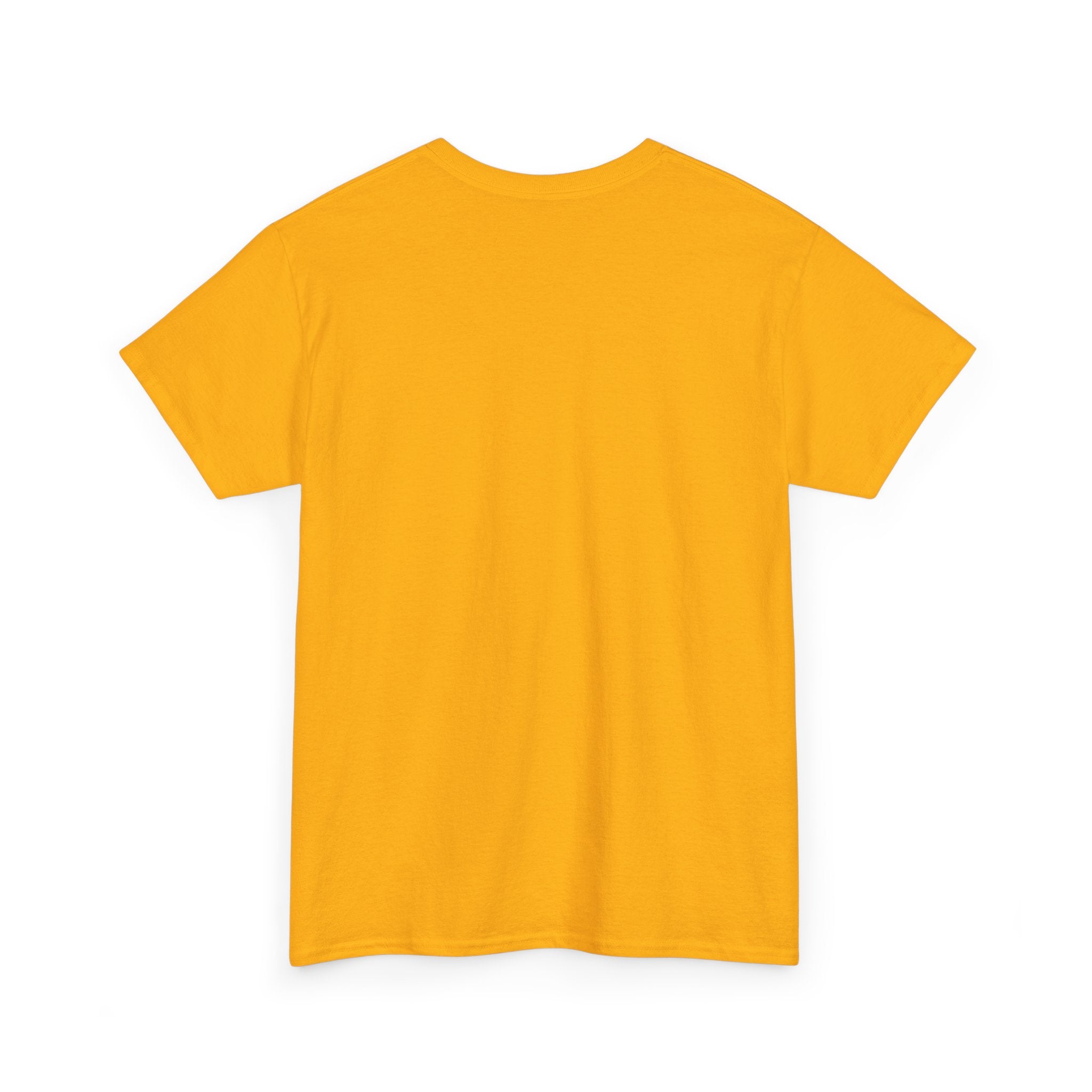 Pulse Fitne55 Heavy Cotton Tee